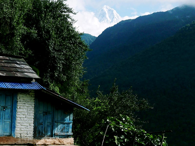 Small cabin with bright blue wooden doors nestled in the trees on the side of a mountain with majestic mountains in the background.
